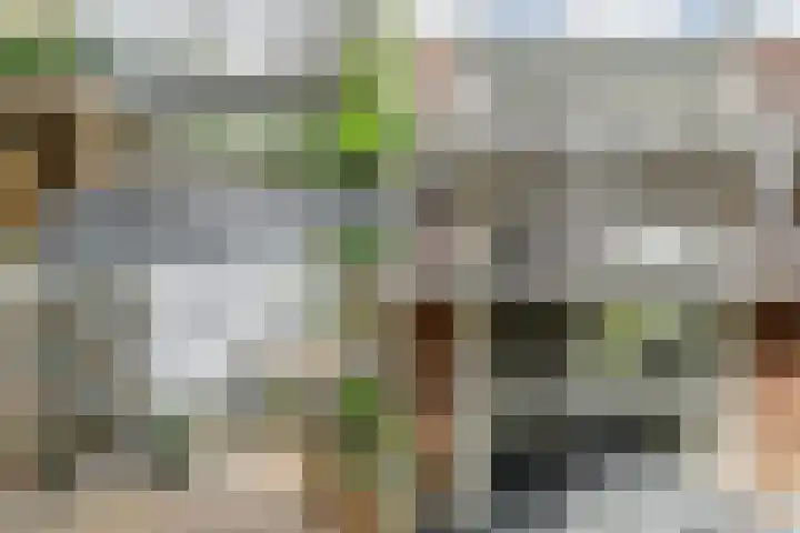 Felix de Nobelhof 25 Amstelveen thumbnail 40