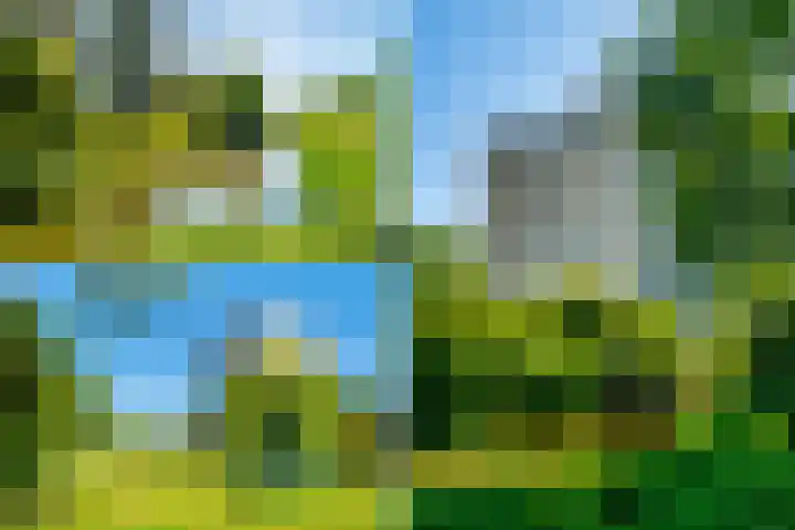 Felix de Nobelhof 25 Amstelveen thumbnail 46