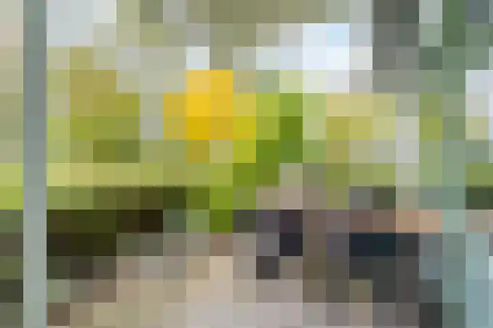 Felix de Nobelhof 4 Amstelveen thumbnail 14