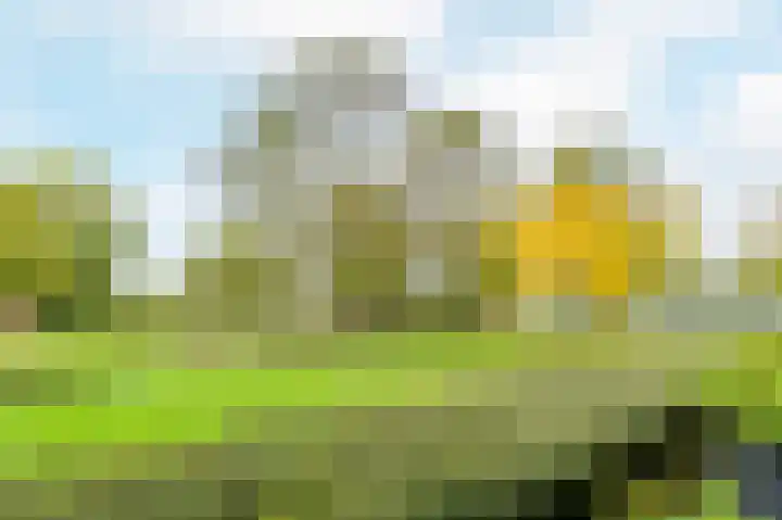 Felix de Nobelhof 4 Amstelveen thumbnail 17