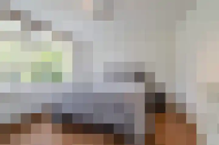Felix de Nobelhof 4 Amstelveen thumbnail 18