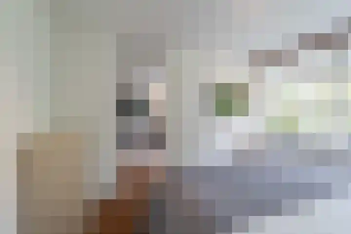 Felix de Nobelhof 4 Amstelveen thumbnail 19