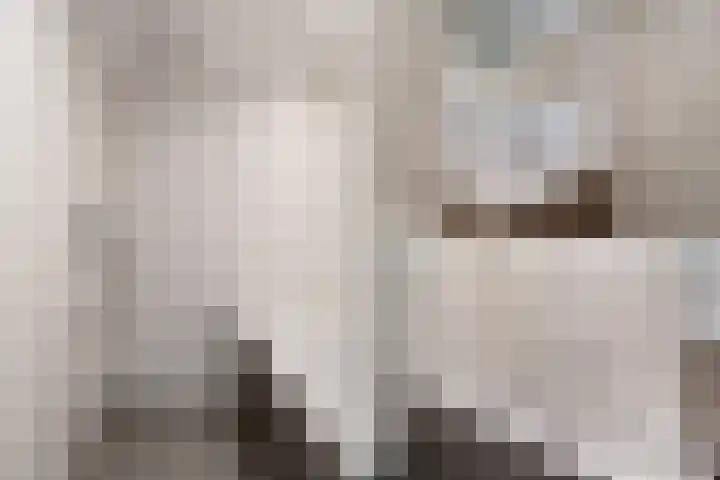 Felix de Nobelhof 4 Amstelveen thumbnail 22