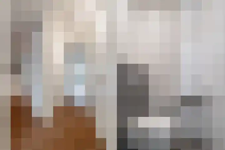 Felix de Nobelhof 4 Amstelveen thumbnail 23