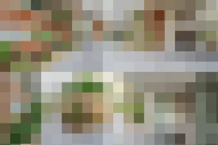 Felix de Nobelhof 4 Amstelveen thumbnail 26