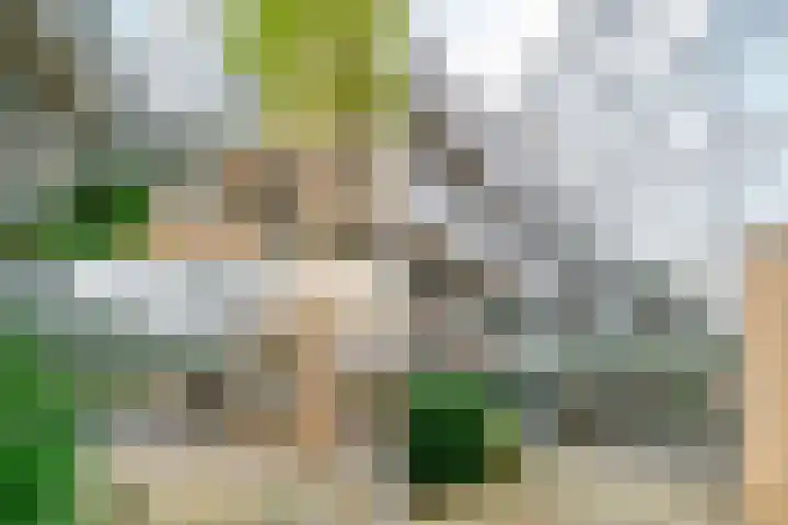 Felix de Nobelhof 4 Amstelveen thumbnail 27