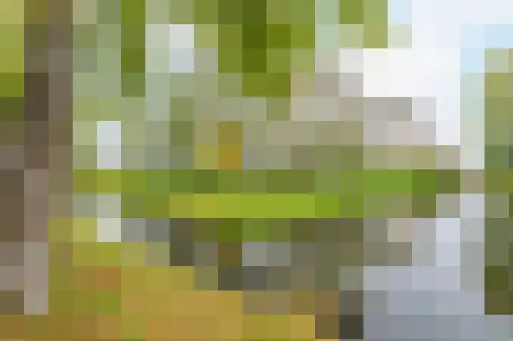 Felix de Nobelhof 4 Amstelveen thumbnail 29