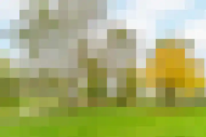 Felix de Nobelhof 4 Amstelveen thumbnail 32