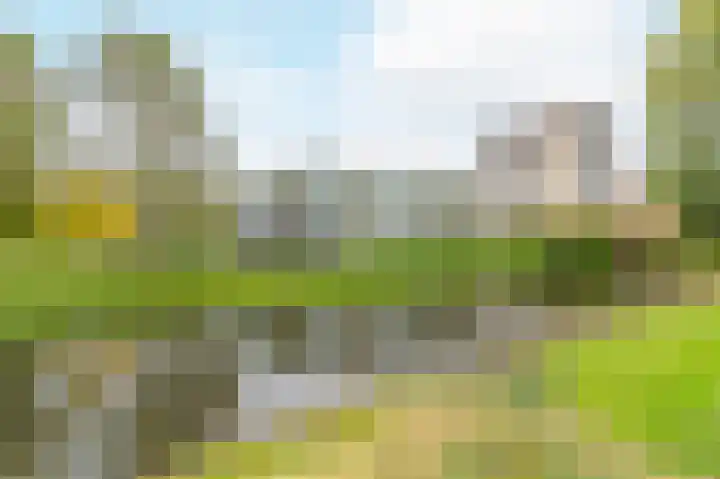 Felix de Nobelhof 4 Amstelveen thumbnail 4