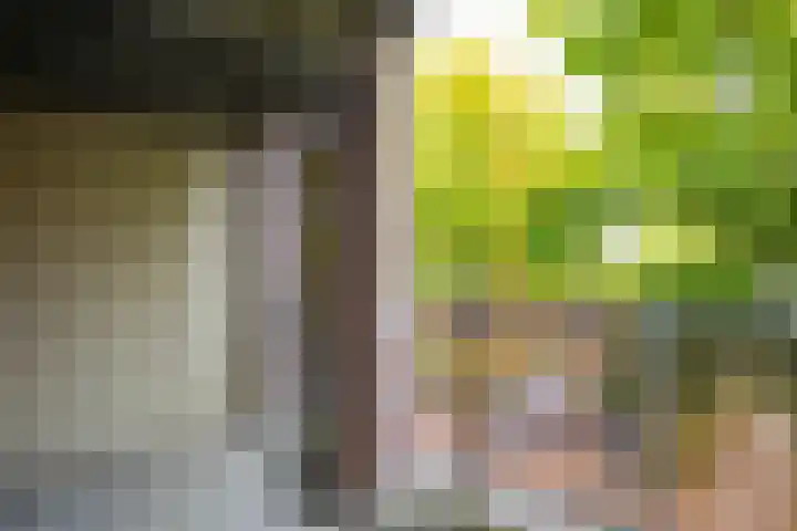 Felix Ruttenlaan 103 Sittard thumbnail 10