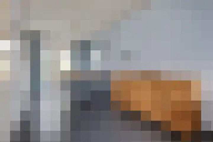 Felix Ruttenlaan 123 Sittard thumbnail 11