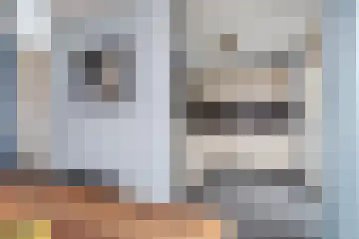 Felix Ruttenlaan 123 Sittard thumbnail 13