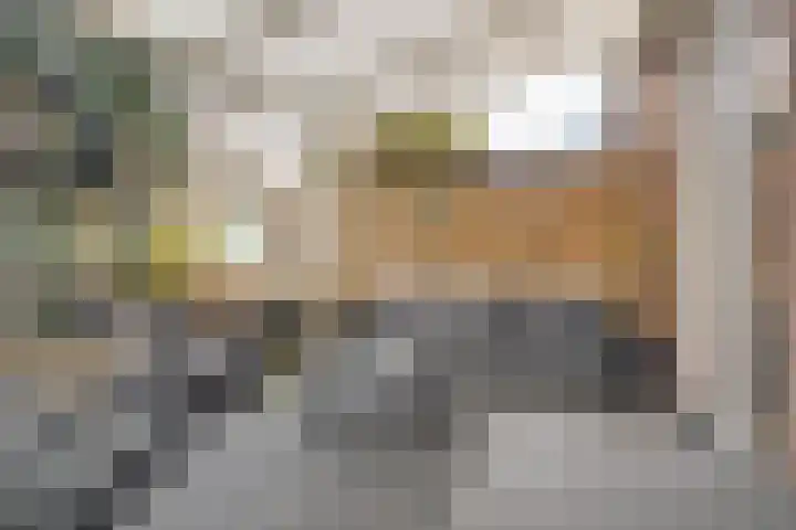 Felix Ruttenlaan 123 Sittard thumbnail 24