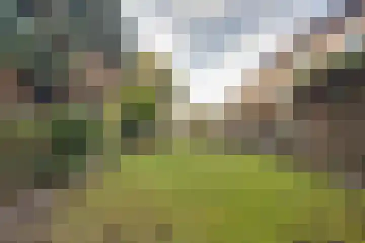 Felix Ruttenlaan 123 Sittard thumbnail 27