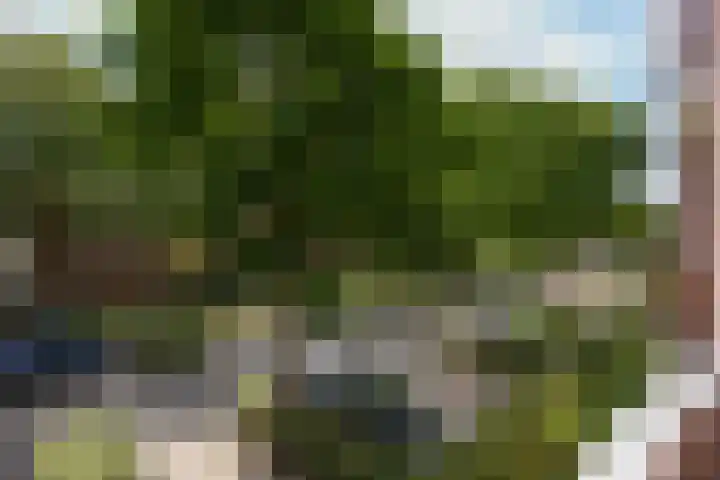 Felix Ruttenlaan 5 Sittard thumbnail 12