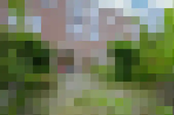 Felix Ruttenlaan 83 Sittard thumbnail 13