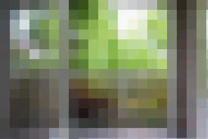 Felix Ruttenlaan 83 Sittard thumbnail 15