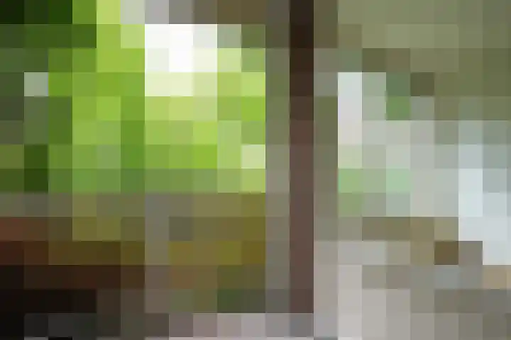Felix Ruttenlaan 83 Sittard thumbnail 16
