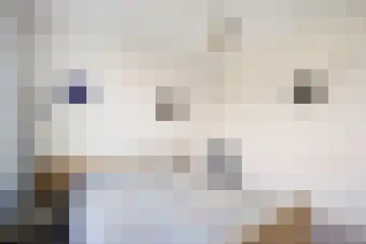 Felix Ruttenstraat 3 Melick thumbnail 25