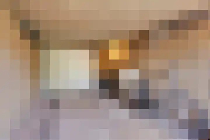 Felix Ruttenstraat 3 Melick thumbnail 31