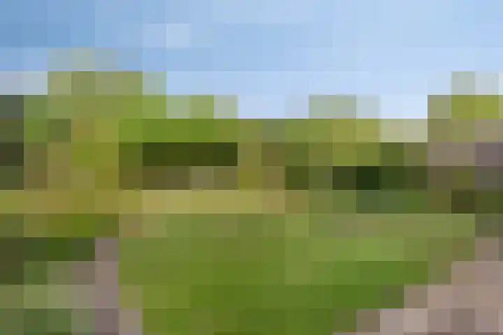Felix Ruttenstraat 3 Melick thumbnail 33
