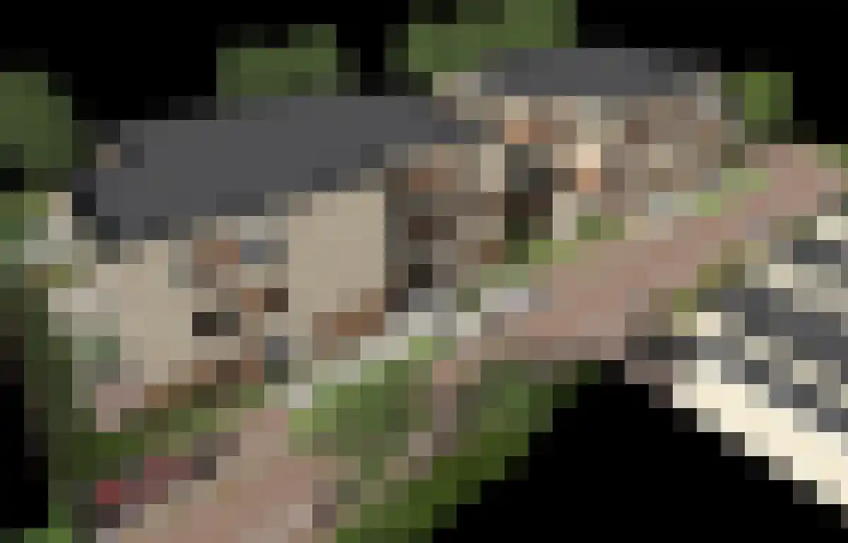 Felix Ruttenstraat Geulle thumbnail 4