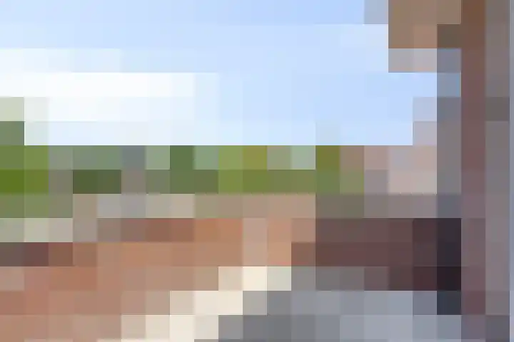 Felix Timmermanshof 19 Berkel en Rodenrijs thumbnail 15