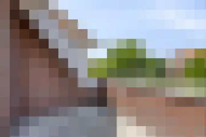 Felix Timmermanshof 19 Berkel en Rodenrijs thumbnail 16