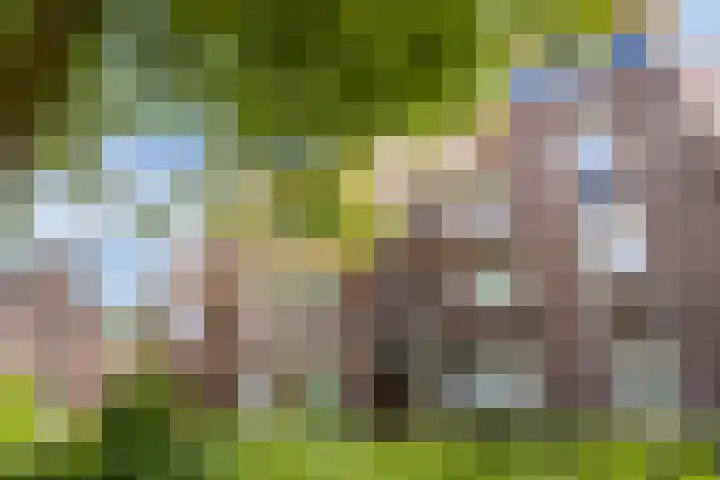 Felix Timmermanshof 19 Berkel en Rodenrijs thumbnail 20