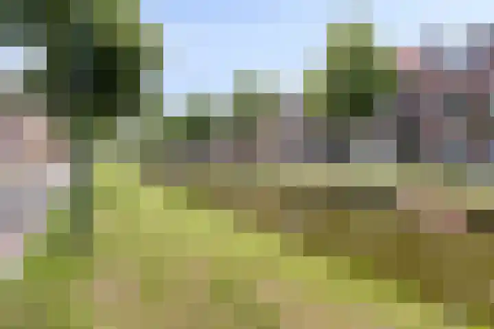 Felix Timmermanshof 19 Berkel en Rodenrijs thumbnail 27