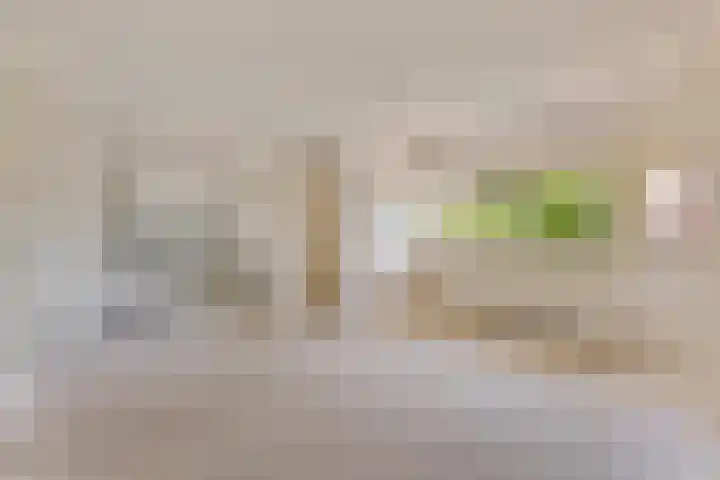 Felix Timmermanshof 19 Berkel en Rodenrijs thumbnail 8