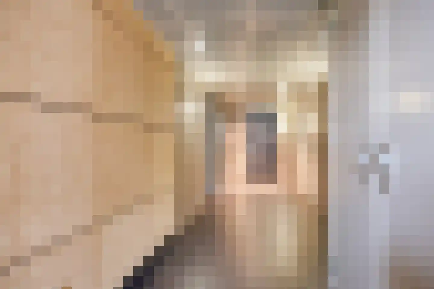 Felix Timmermanshof 26 Berkel en Rodenrijs thumbnail 34