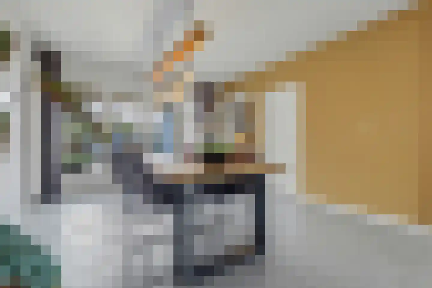 Felix Timmermanslaan 1 Bladel thumbnail 11