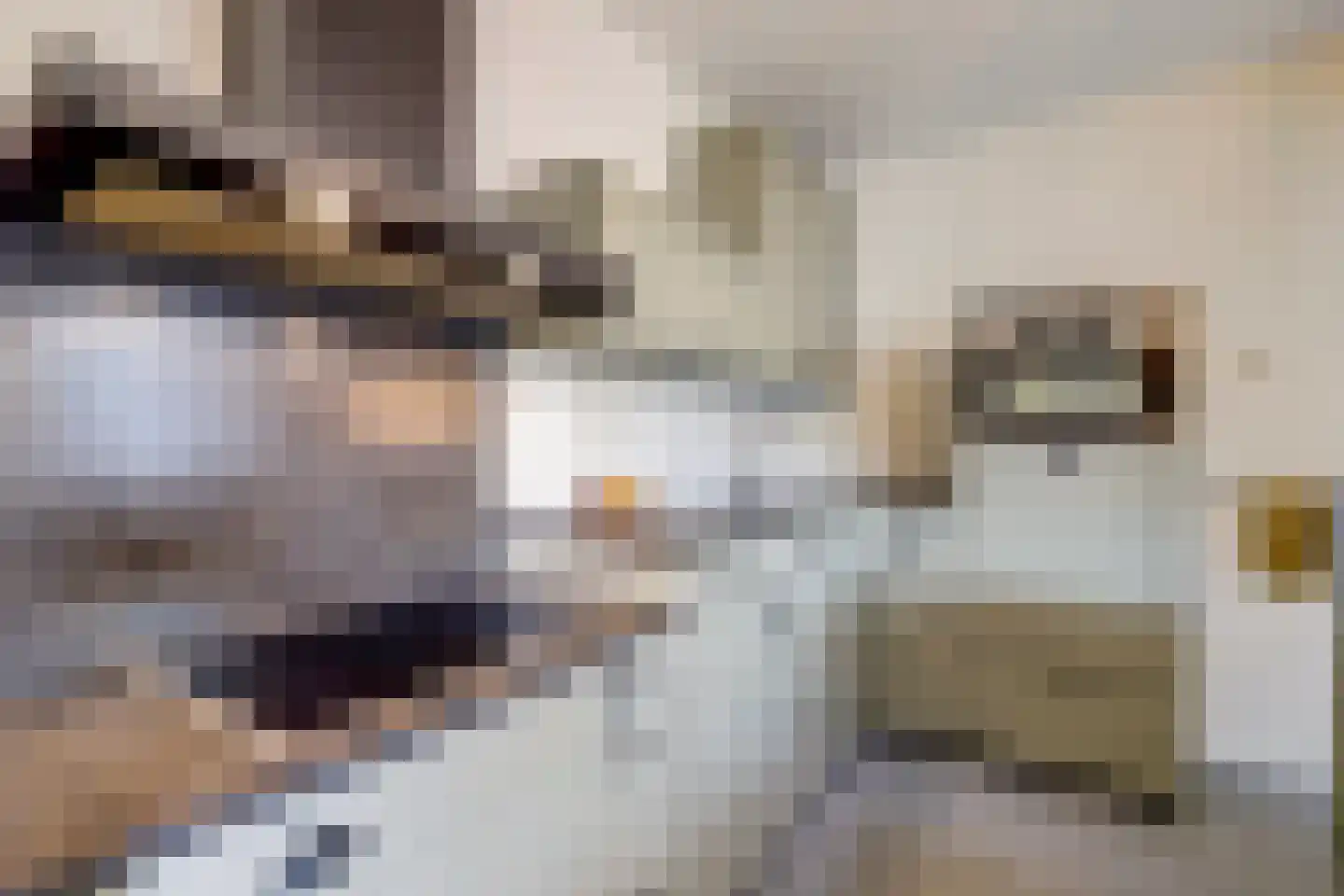 Felix Timmermanslaan 1 Bladel thumbnail 16