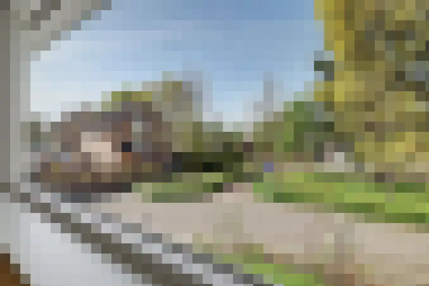 Felix Timmermanslaan 1 Bladel thumbnail 24