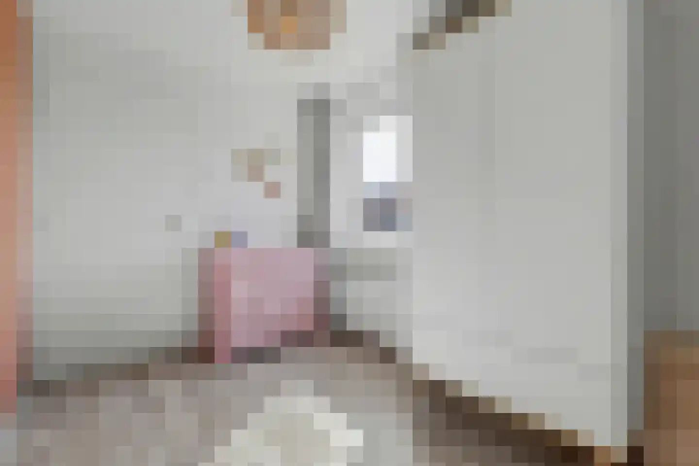 Felix Timmermanslaan 1 Bladel thumbnail 28