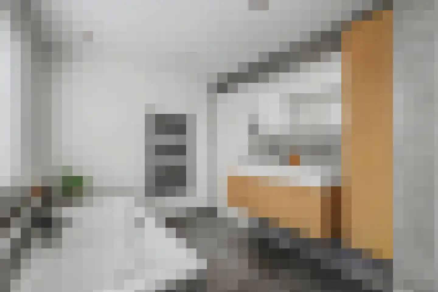Felix Timmermanslaan 1 Bladel thumbnail 30