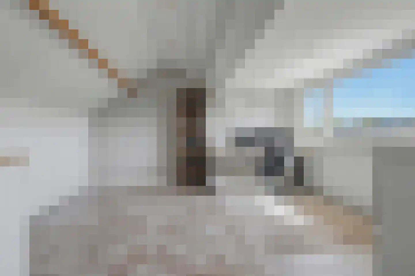 Felix Timmermanslaan 1 Bladel thumbnail 36