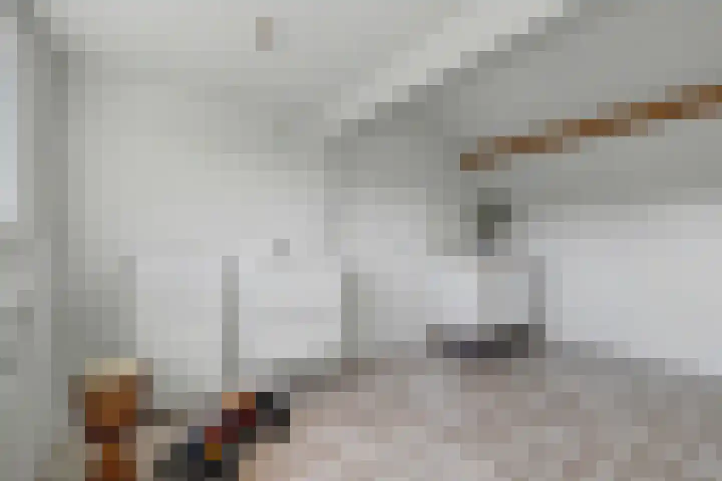 Felix Timmermanslaan 1 Bladel thumbnail 38