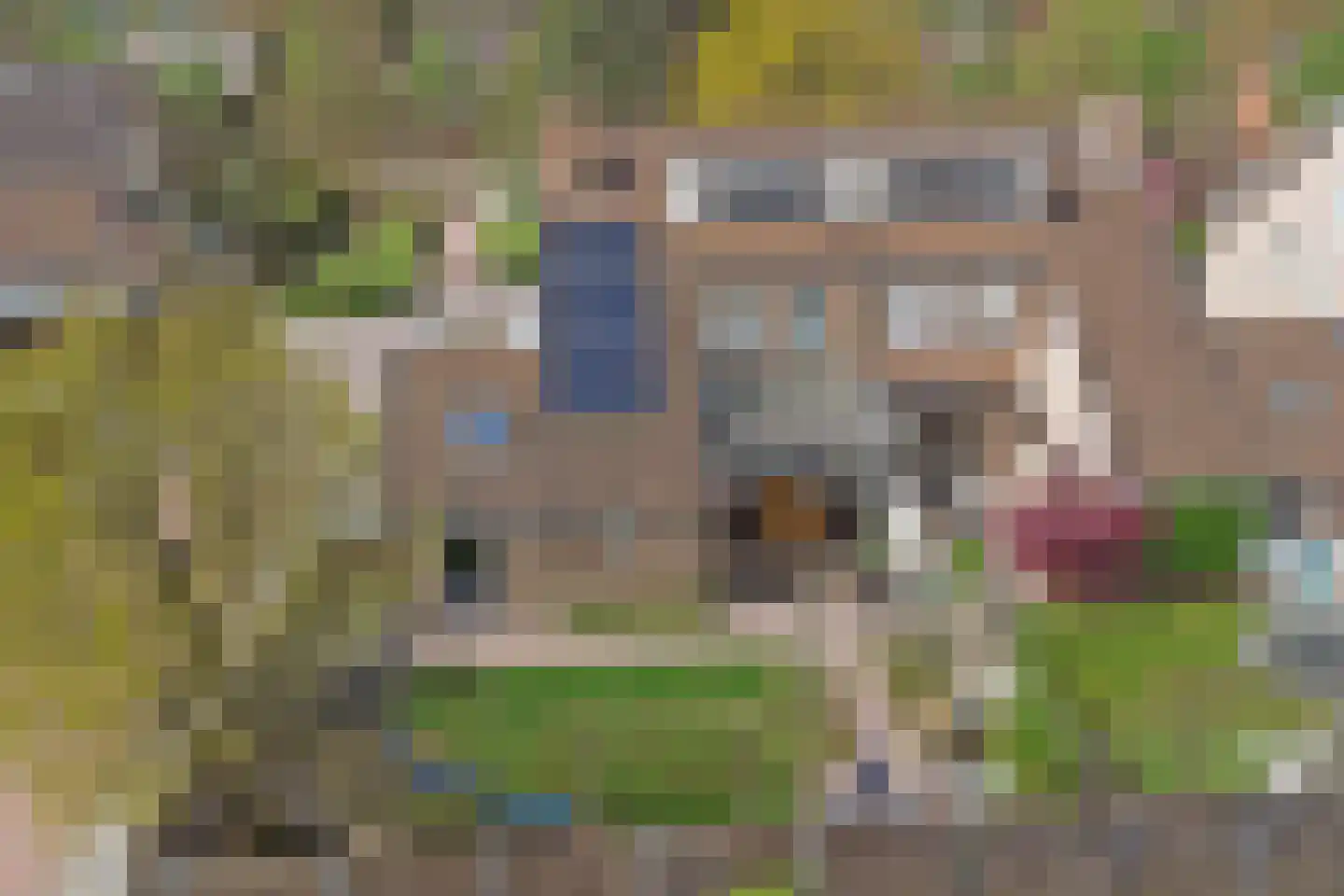 Felix Timmermanslaan 1 Bladel thumbnail 56