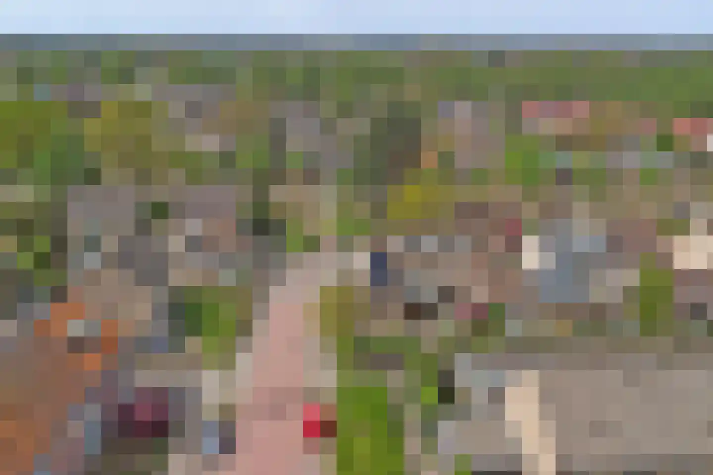 Felix Timmermanslaan 1 Bladel thumbnail 57
