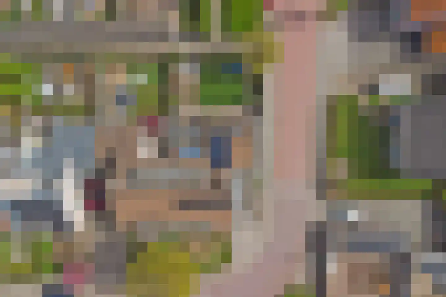 Felix Timmermanslaan 1 Bladel thumbnail 59