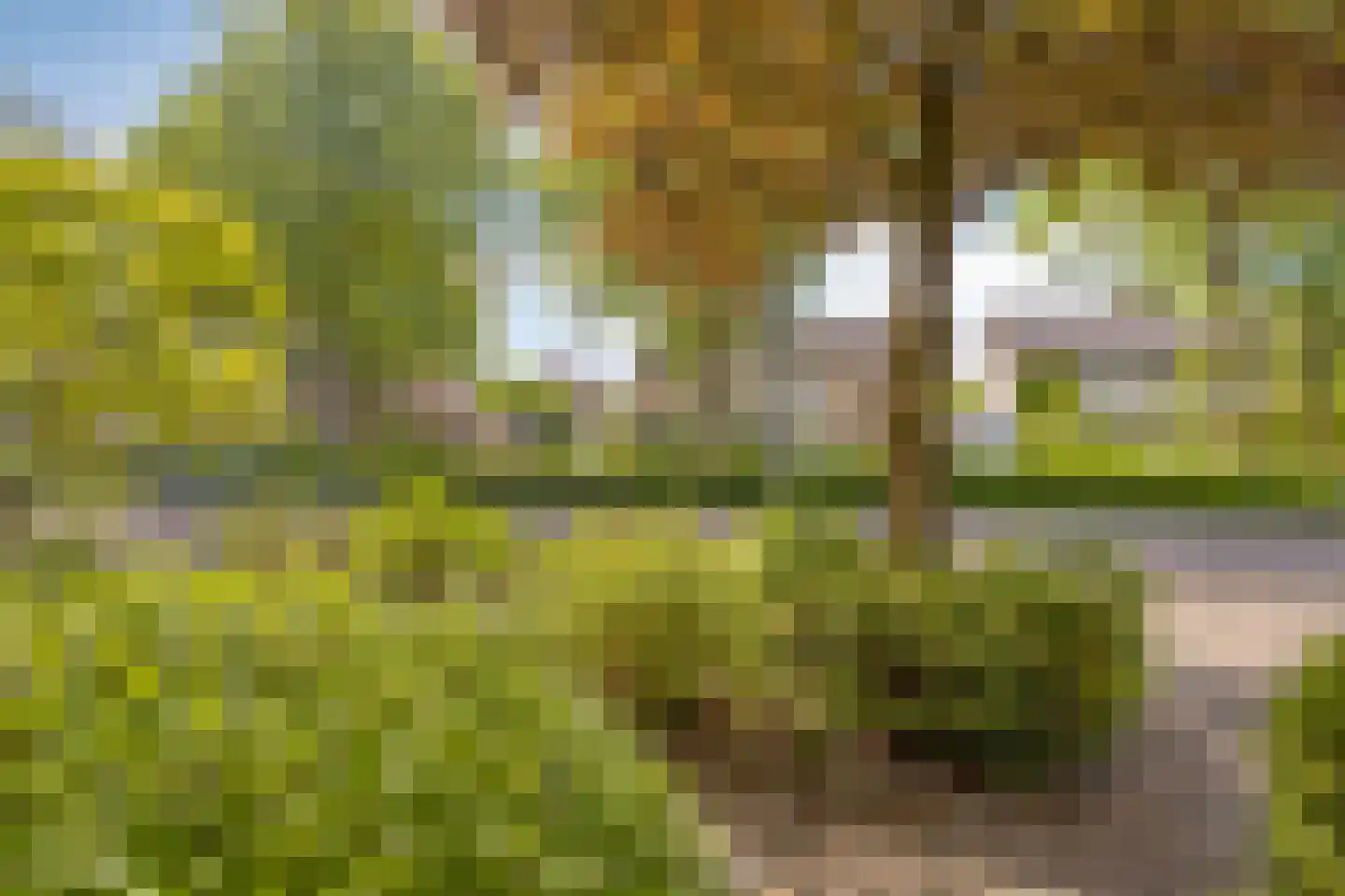 Felix Timmermanslaan 12 Rosmalen thumbnail 34