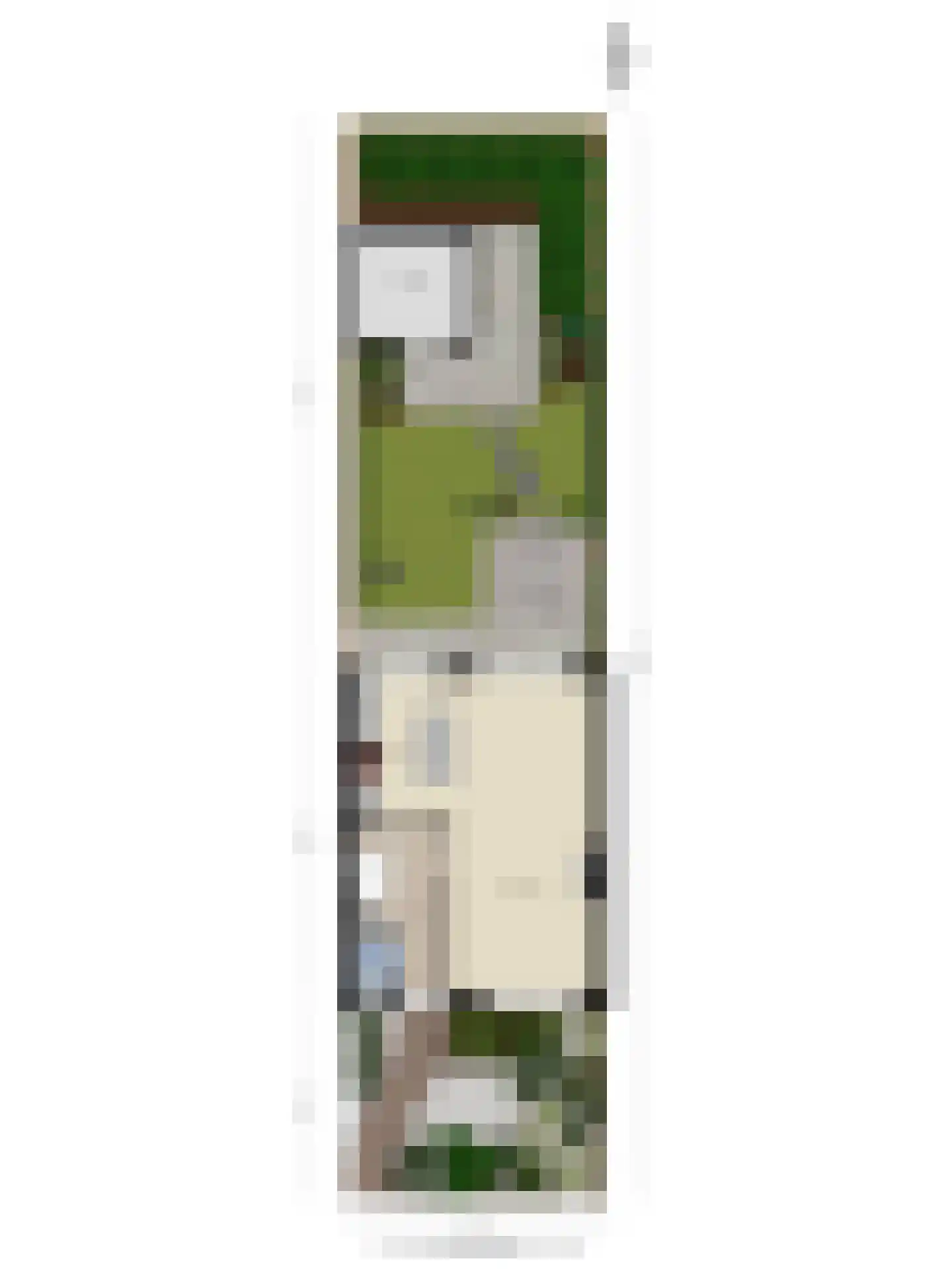 Felix Timmermanslaan 12 Rosmalen thumbnail 43