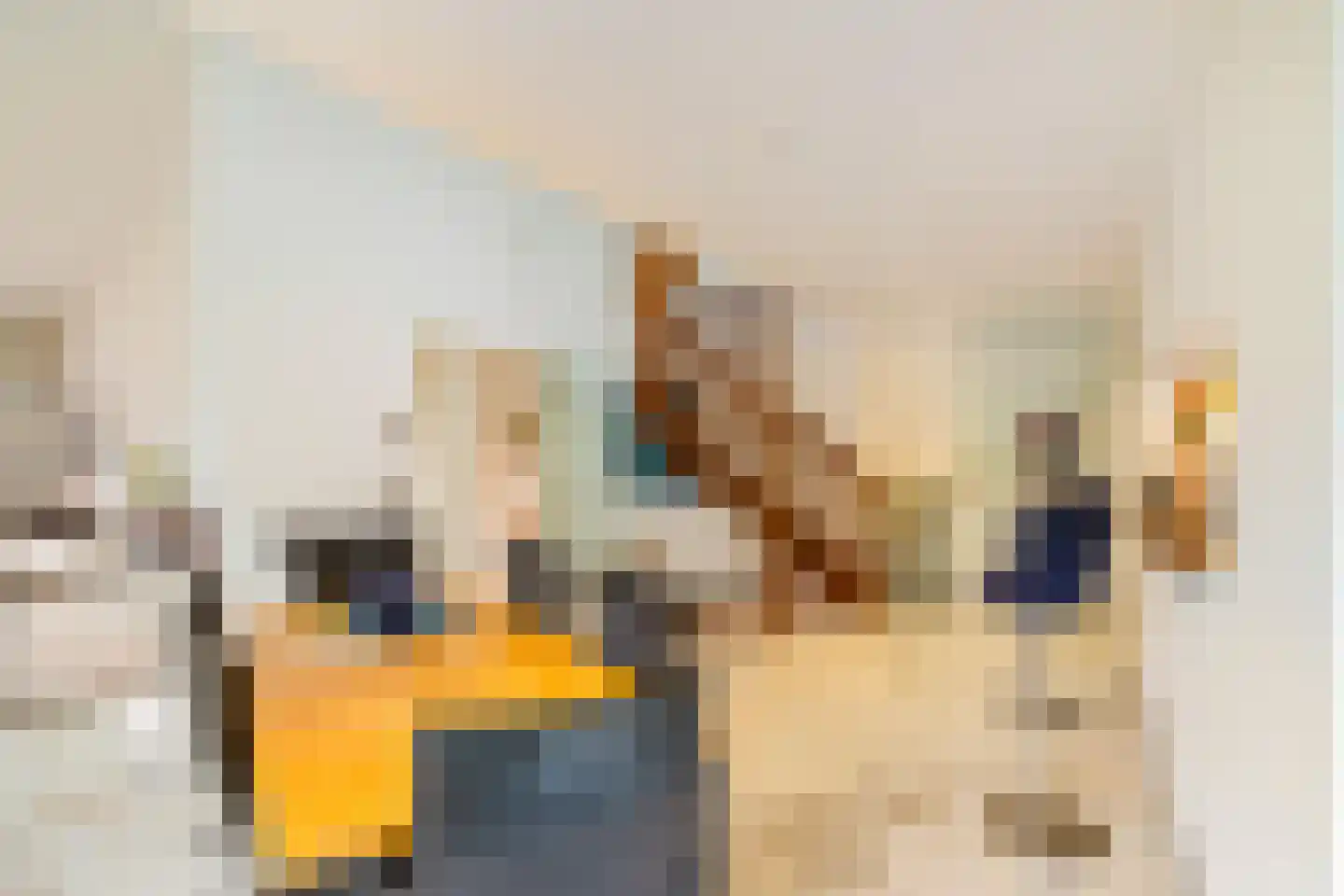 Felix Timmermanslaan 3 Groningen thumbnail 11