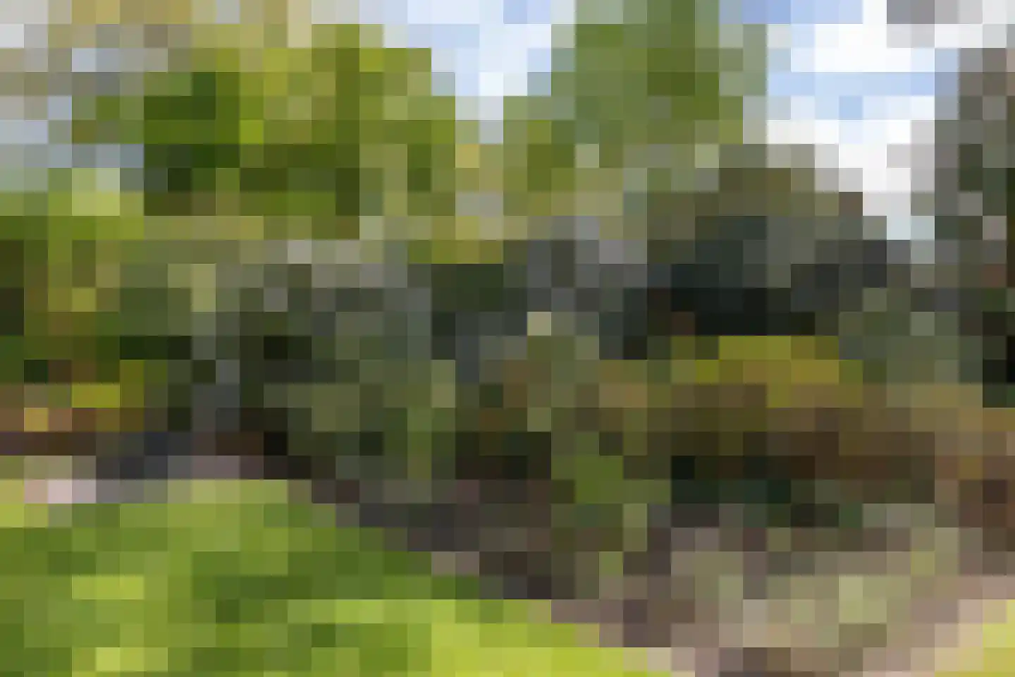Felix Timmermanslaan 3 Groningen thumbnail 24