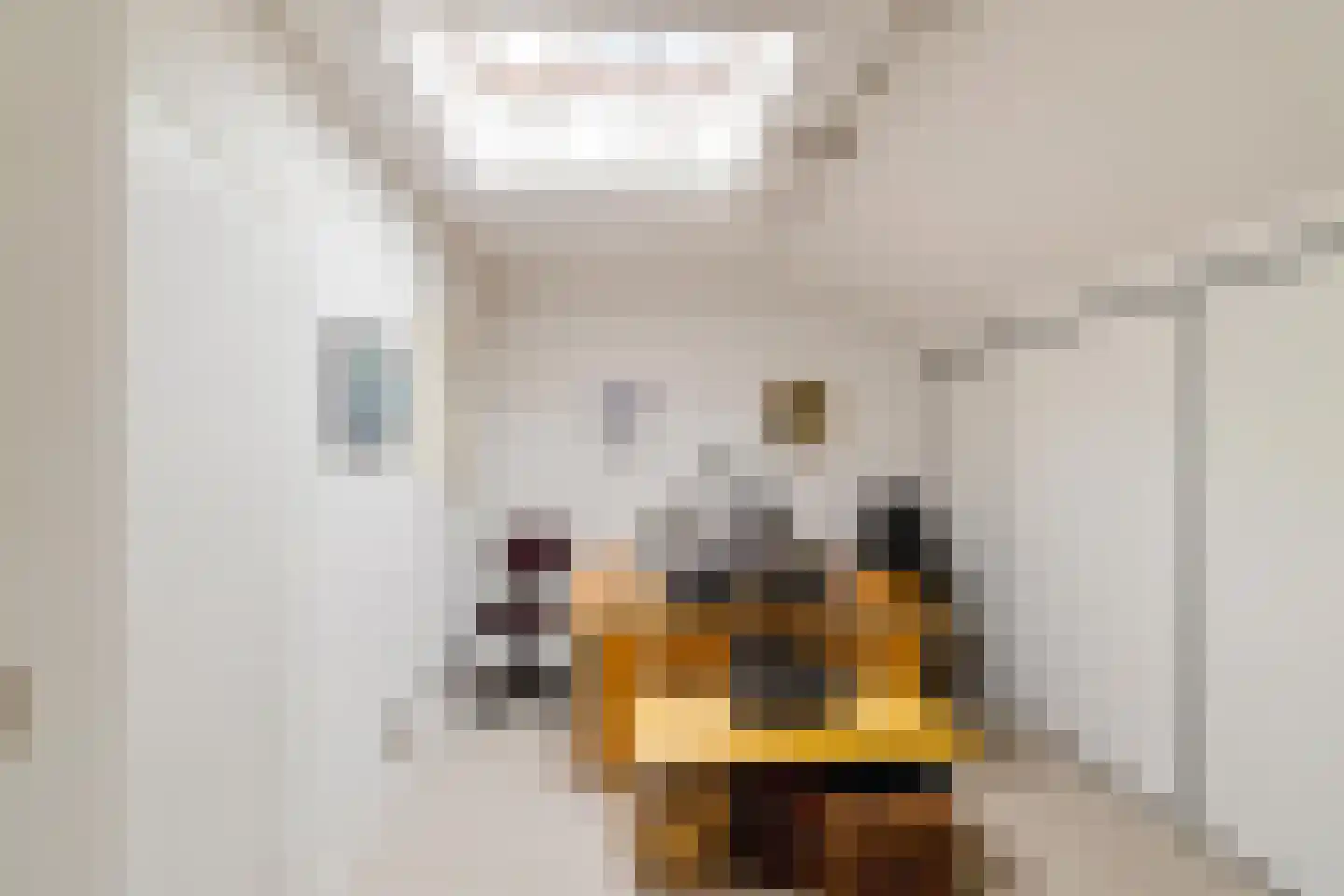Felix Timmermanslaan 3 Groningen thumbnail 41