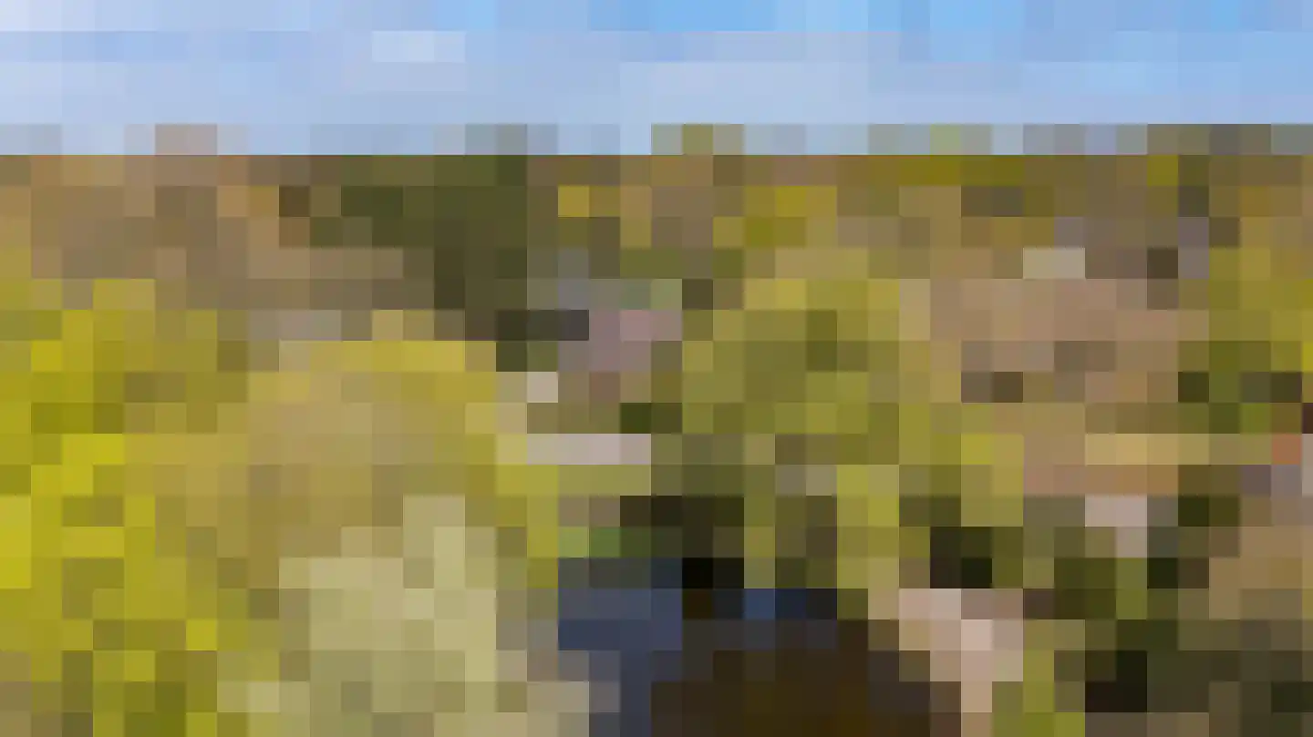Felix Timmermanslaan 3 Groningen thumbnail 48