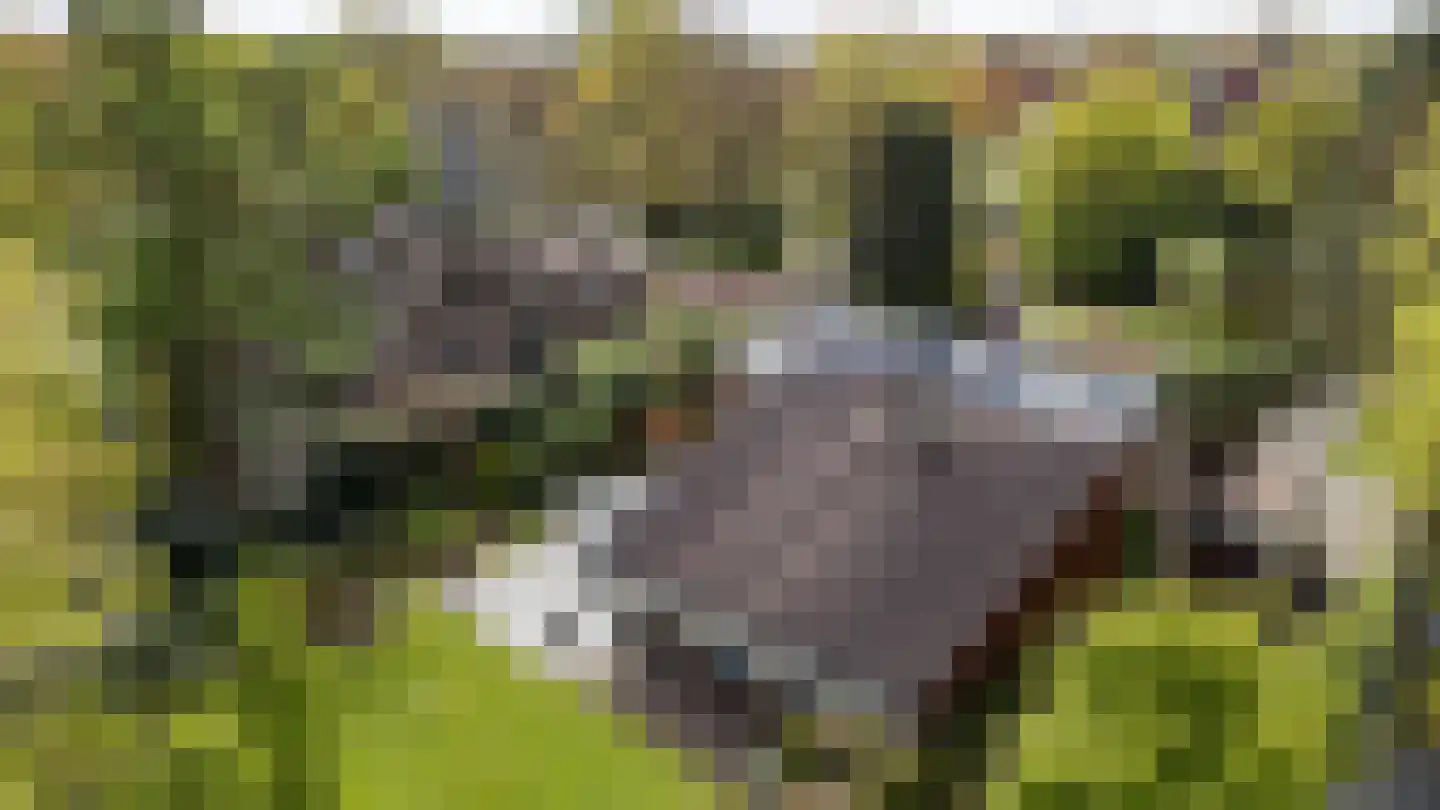 Felix Timmermanslaan 3 Groningen thumbnail 5