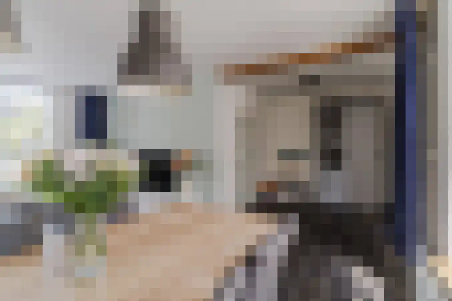 Felix Timmermanslaan 55 Bladel thumbnail 12
